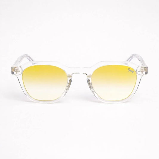 Lunettes Bear — Ice Gold